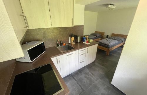 Wassen Apartamento | Ferienregion Andermatt - Studio in Wassen