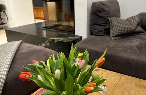 Wienerbruck Casa | Ferienvilla Joachimsberg mit Swimspa und Sauna