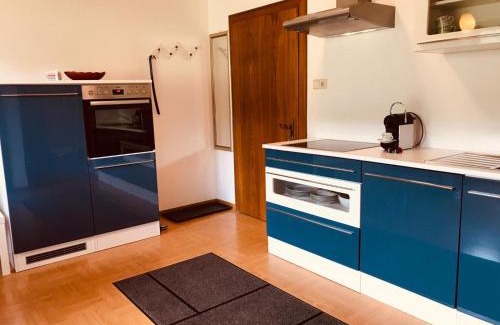 Steindorf am Ossiacher See Apartamento | Ferienwohnung Resi mit traumhaftem Seepanorama