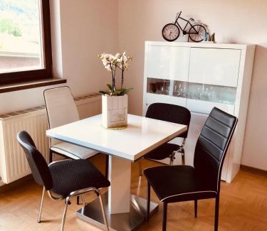 Steindorf am Ossiacher See Apartamento | Ferienwohnung Resi mit traumhaftem Seepanorama