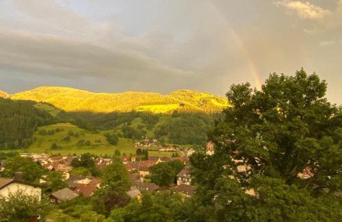 Schoenau im Schwarzwald Apartamento | Ferienwohnung Schönblick