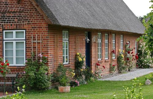 Techin Casa | Ferienwohnung Techin am Schaalsee