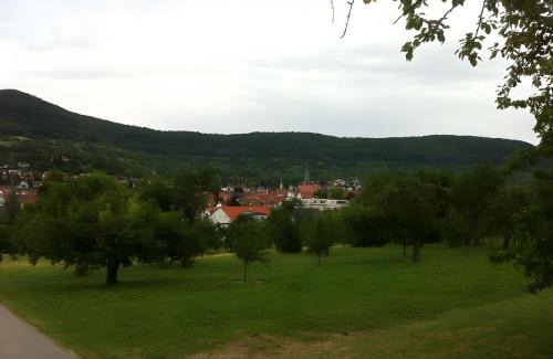 Dettingen an der Erms Apartamento | Ferienwohnung Holder