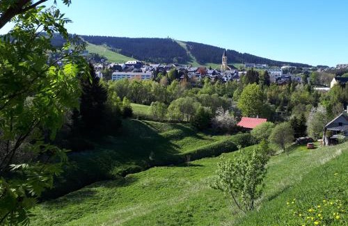 Oberwiesenthal Apartamento | Ferienwohnung Aronia Garten