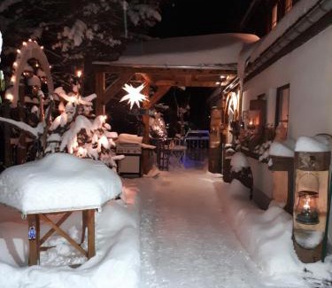 Oberwiesenthal Apartamento | Ferienwohnung Aronia Garten