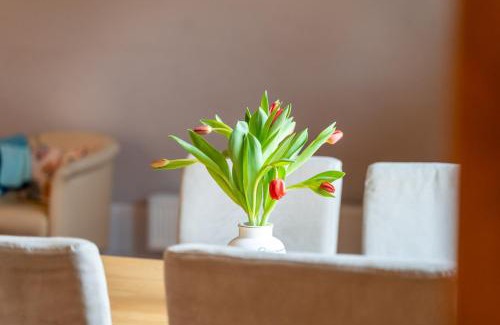 Muritz Apartamento | Ferienwohnung 1 im Landhaus am Wildpark Boek