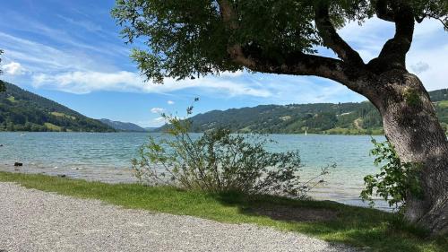 Missen-Wilhams Apartamento | Ferienwohnung Alpenfreude