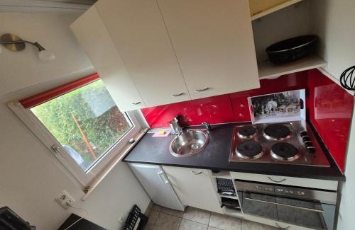 Husen Apartamento | Ferienwohnung Altenaublick Husen