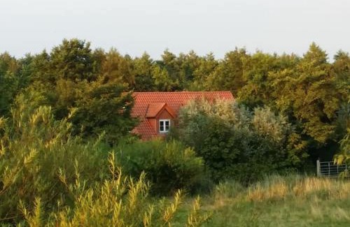 Tetenbull Apartamento | Ferienwohnung Altneukoog