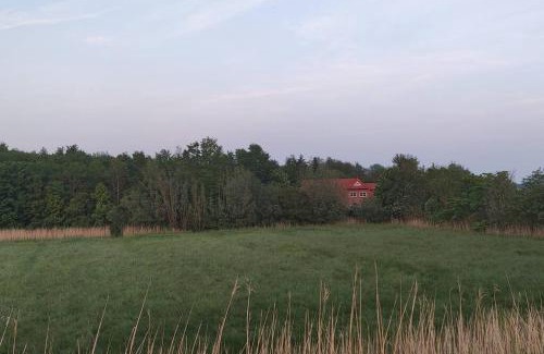 Tetenbull Apartamento | Ferienwohnung Altneukoog