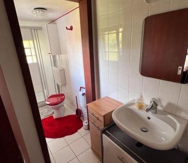 Tengen Apartamento | Ferienwohnung am Bach Biberstüble