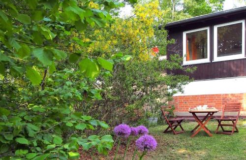 Dummer Apartamento | Ferienwohnung am Dümmer See