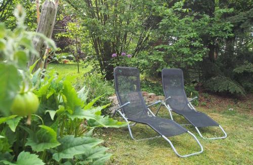 Dummer Apartamento | Ferienwohnung am Dümmer See