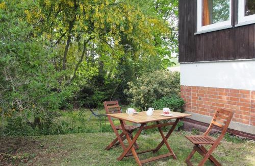 Dummer Apartamento | Ferienwohnung am Dümmer See