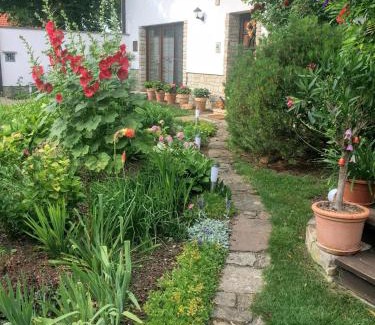 Geusa Apartamento | Ferienwohnung "Am Geiseltal"