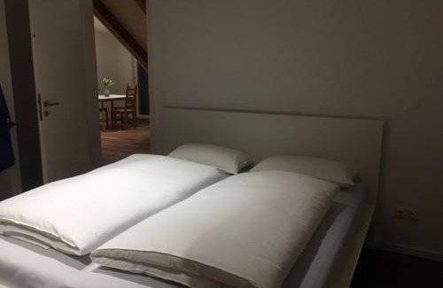 City Centre Regensburg Apartamento | Ferienwohnung am Herzogspark