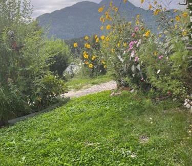 Bad Ischl Apartamento | Ferienwohnung Am Jodlerweg