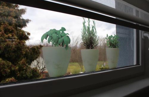 Gispersleben Apartamento | Ferienwohnung am Park