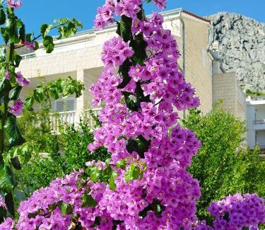Omis Apartamento | Ferienwohnung am Sandstrand