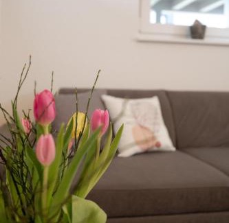Niederlehen Apartamento | Ferienwohnung am Tanzberg