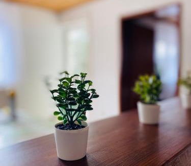 Rattelsdorf Apartamento | Ferienwohnung Antonia