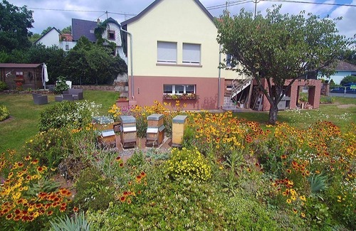 Lichtenberg Apartamento | Ferienwohnung/app. für 3 Gäste mit 50m² in Lichtenberg