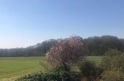 Laar Apartamento | Ferienwohnung auf dem Land und trotzdem stadtnah.