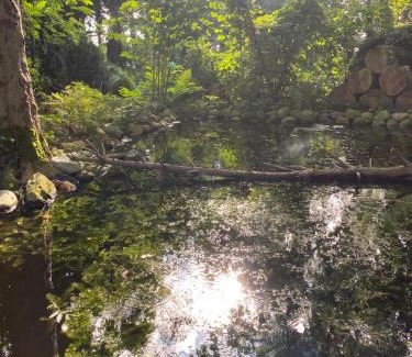 Griesenbotel Apartamento | Ferienwohnung auf einem Resthof zentral gelegen mit viel Natur und Tieren