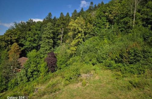 Bad Wildbad Apartamento | Ferienwohnung Ausblick