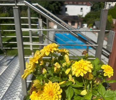 Stolberg Apartamento | Ferienwohnung Auszeit im Südharz