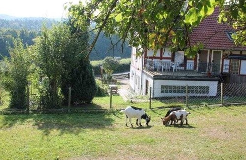 Bringhausen Apartamento | Ferienwohnung Bärenhöhle - Ferienwohnungen Kupille