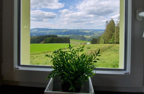 Breitnau Apartamento | Ferienwohnung Bäuerlesstüble, 40qm, 1 Schlafzimmer, Max. 3 Personen