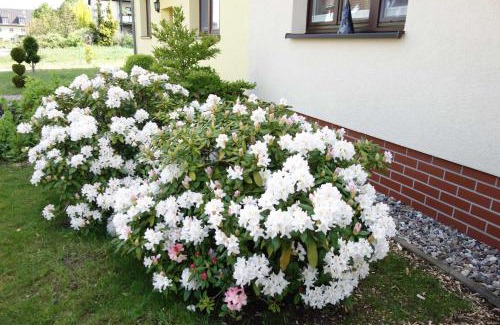 Muritz Apartamento | Ferienwohnung "Baum"