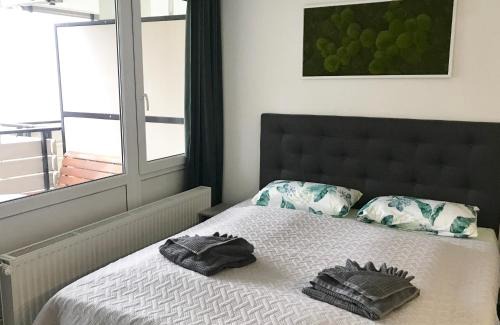 Sankt Englmar Apartamento | Ferienwohnung Bayerwald-Blick, Schwimmbad, Sauna