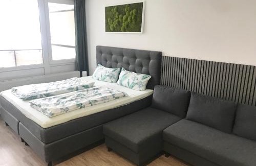Sankt Englmar Apartamento | Ferienwohnung Bayerwald-Blick, Schwimmbad, Sauna