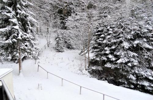 Triberg im Schwarzwald Apartamento | Ferienwohnung Bergblick