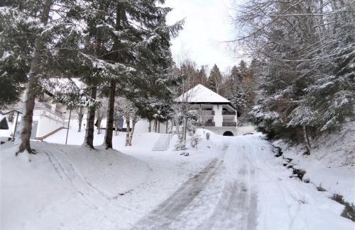Triberg im Schwarzwald Apartamento | Ferienwohnung Bergblick