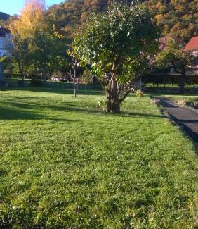 Thale Apartamento | Ferienwohnung Bergblick - inklusive Bodetal Therme