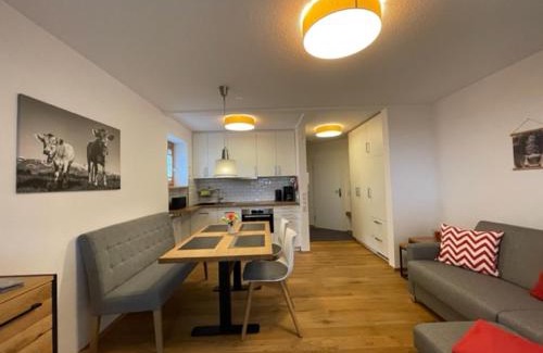 Steibis Apartamento | Ferienwohnung Bergzeit