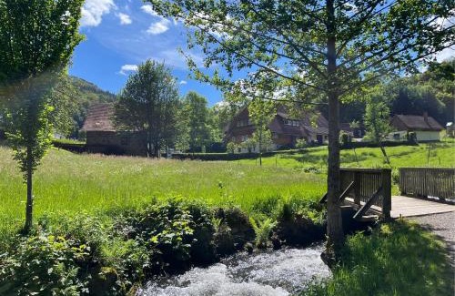Wolfach Apartamento | Ferienwohnung-Blume DG