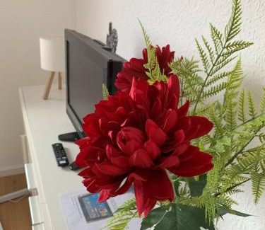 Rust Apartamento | Ferienwohnung-Brunken-Rust