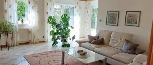Rheinzabern Apartamento | Ferienwohnung Catus