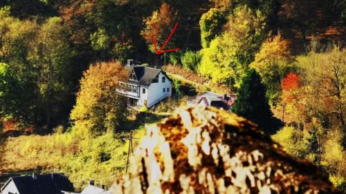 Waldbreitbach Apartamento | Ferienwohnung Chalet Wiedfluh In Waldbreitbach