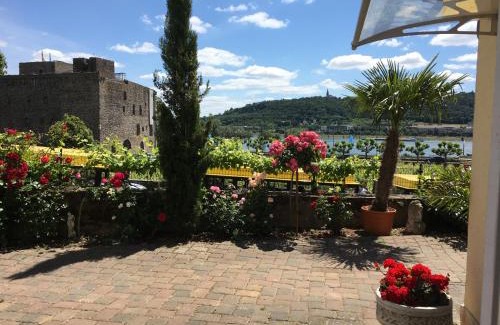Mainz-Bingen Apartamento | Ferienwohnung „Die 3 am Rhein“