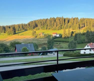 Saig Apartamento | Ferienwohnung -Das Waldo- in Lenzkirch-Saig