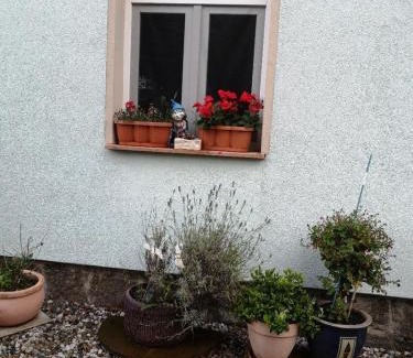Brandis Apartamento | Ferienwohnung