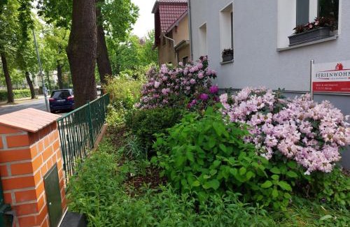 Koenigs Wusterhausen Apartamento | Ferienwohnung Heil - Königs Wusterhausen