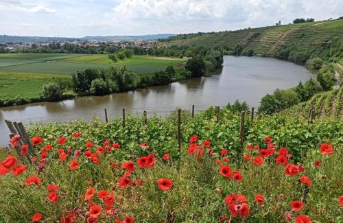 Kirchheim am Neckar Apartamento | Ferienwohnung Schmid