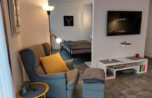 Bad Harzburg Apartamento | Ferienwohnung Domicile chic mit Schwimmbad und Saunanutzung