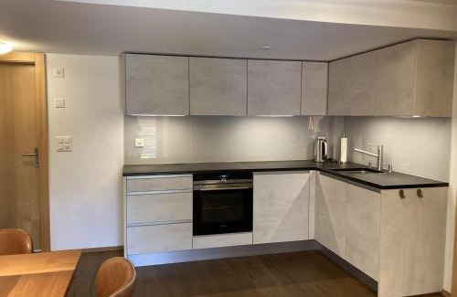 Ried-Brig Apartamento | Ferienwohnung Dorfbrunnu